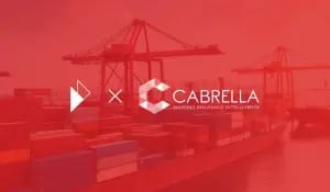 Parcel Perform and Cabrella success story seo